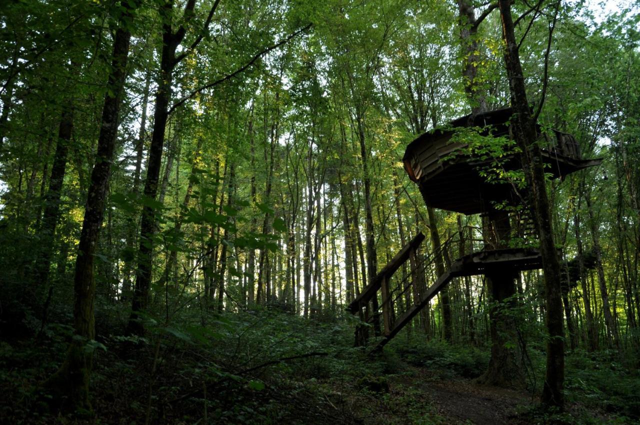 L'Arbre A Cabane Guyonvelle Exterior foto