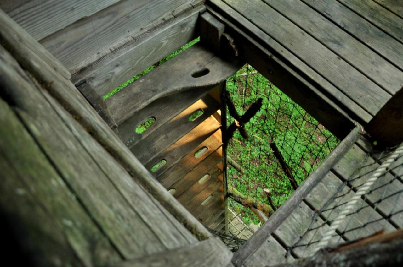 L'Arbre A Cabane Guyonvelle Exterior foto